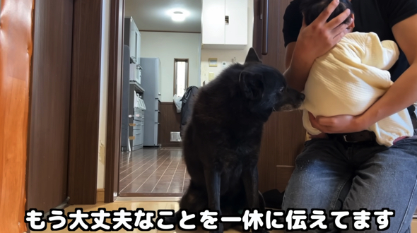 一休さんに「もう大丈夫」と伝えるパパさん