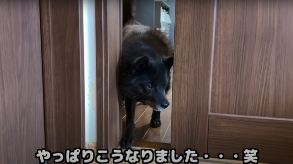 一休さんが扉をこじ開け登場