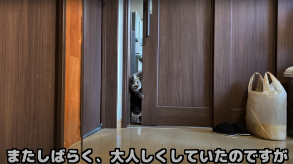 まさかのしずくちゃんも入室