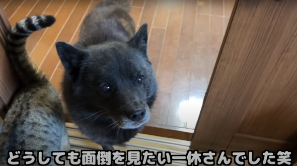 どうしても赤ちゃんの面倒をみたい一休さんなのでした