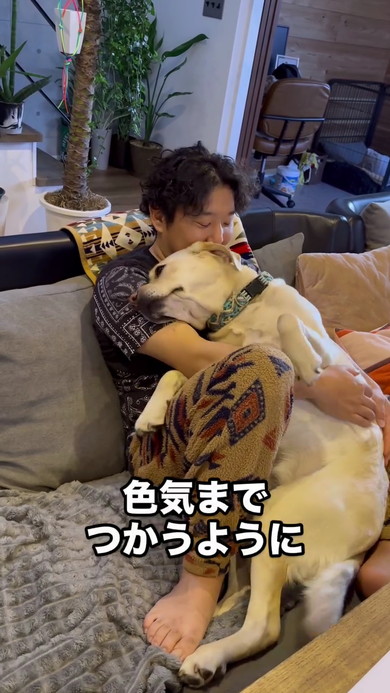 パパさん好きラブラドール