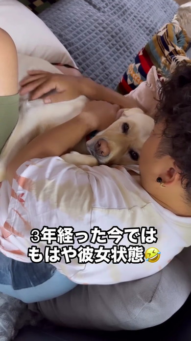 パパさん好きラブラドール