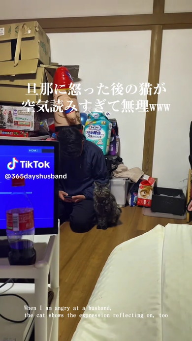 パパと猫