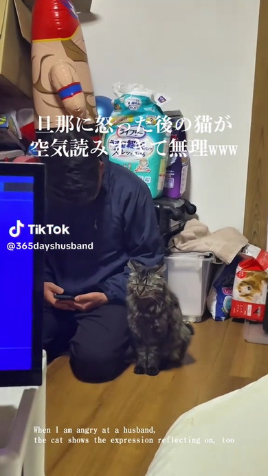 パパと猫