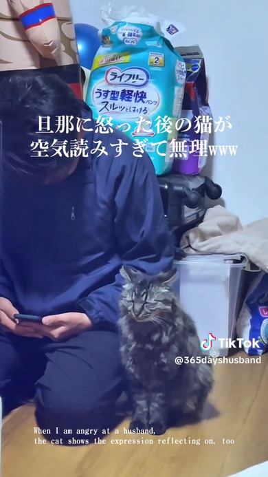 パパと猫