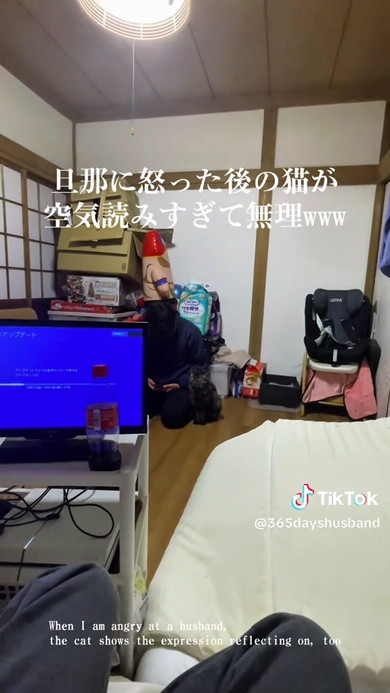 パパと猫