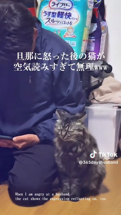 パパと猫
