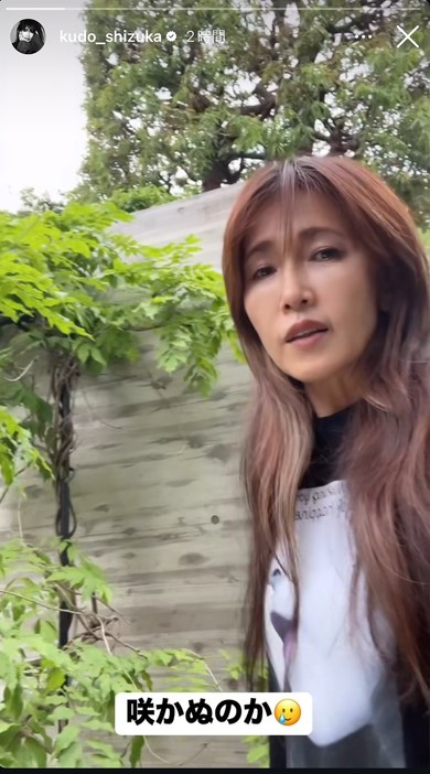 工藤静香さんの自宅の庭