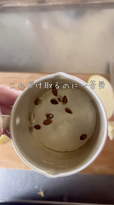 コンビニで買ったりんごの種をまいた結果