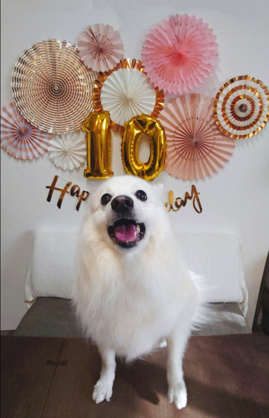 10歳の誕生日を迎えた楽くん