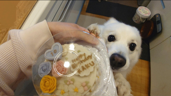 かわいいお誕生日ケーキを用意