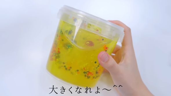 ゼリースライムの中に多彩なビーズを詰め込んだ状態