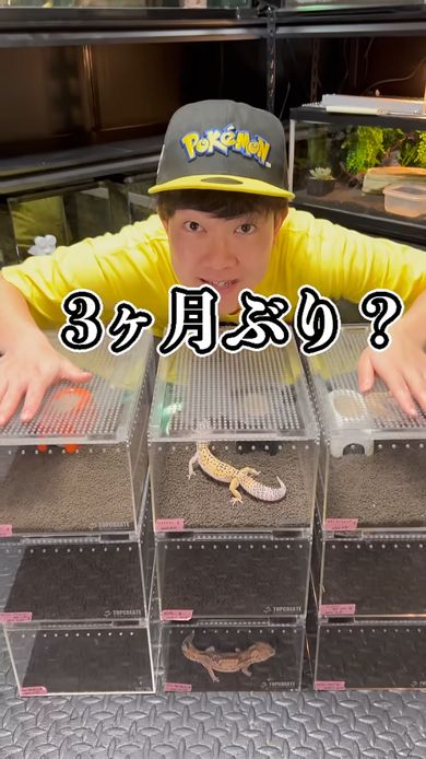 クーリングのため3カ月間絶食してもらった