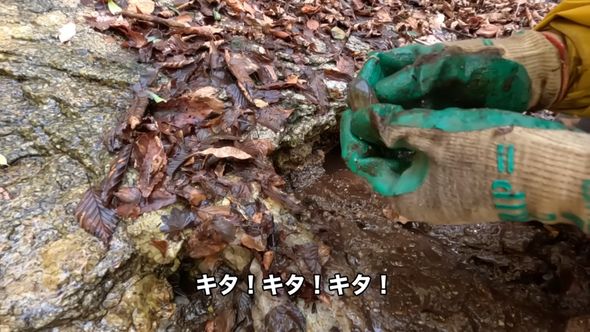 水たまりの中から採掘したきれいな水晶