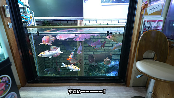シャッターを開けた
