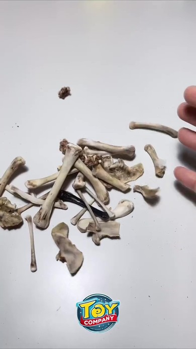 ガンダムの画像