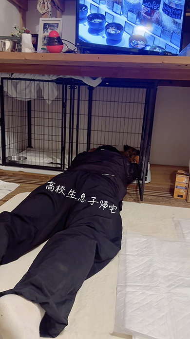 犬になることが夢だった息子の現在