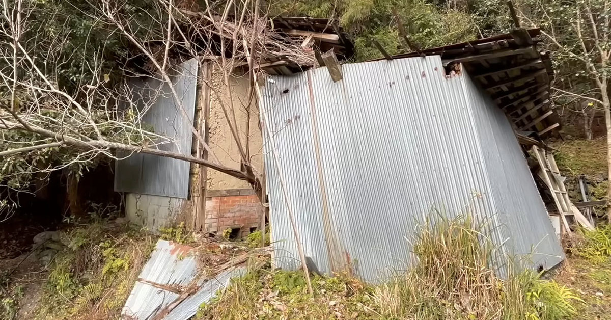 倒壊しかけで近所迷惑だった小屋→コツコツ解体したら……　想像もつかない結果に「驚きでした」「尊敬します」（1/3） | 住まい ねとらぼ