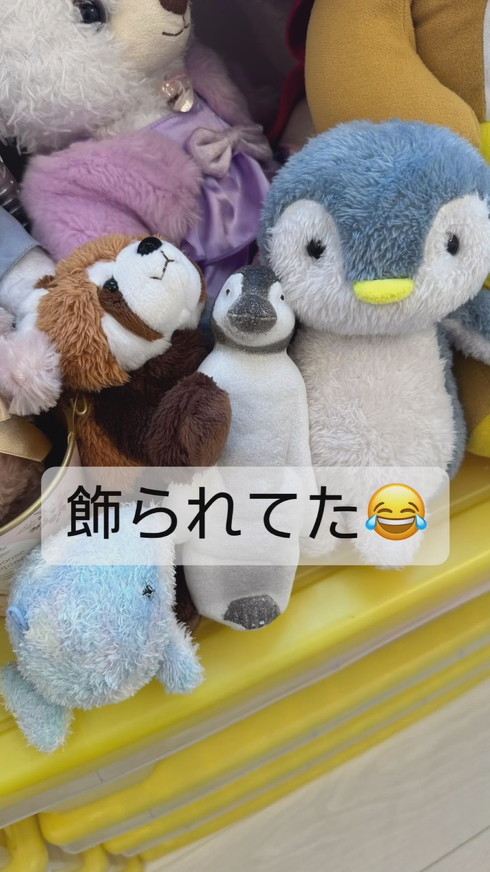 ペンギンの卵