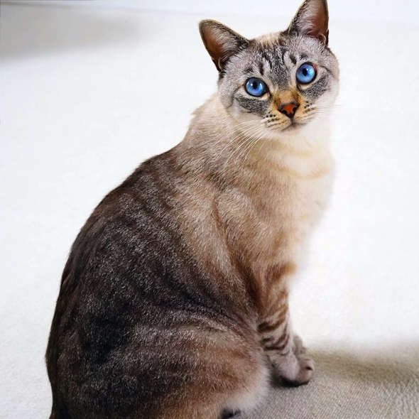 大人になった美しいルカくん