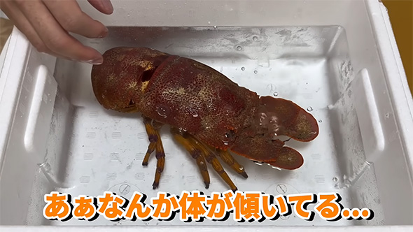ああなんか体が
