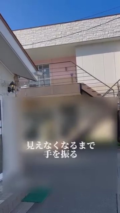 トリマーさんに抱っこされているワンコ