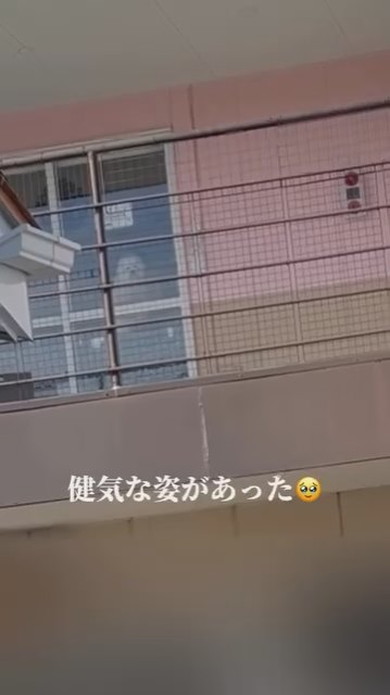 トリマーさんに抱っこされているワンコ