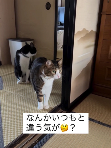 「なんかいつもと違う気が？」と察するみいちゃん