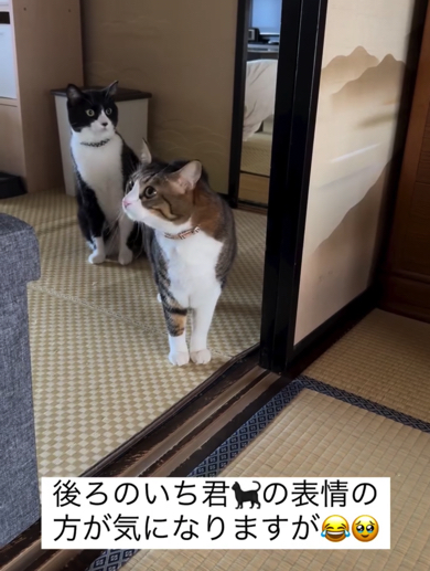 状況を把握していないいちくん