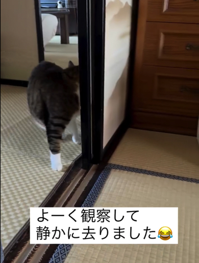 みいちゃんは赤ちゃんをよーく観察して静かに立ち去ったのでした