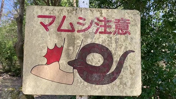 マムシ注意の看板
