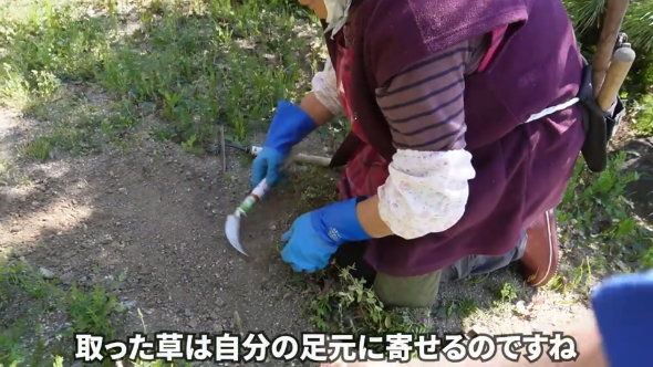 草取り 50年 名人 ワザ 技術 やり方 工夫 鎌
