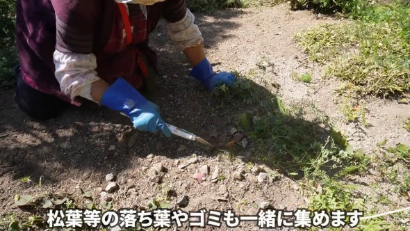 草取り 50年 名人 ワザ 技術 やり方 工夫 鎌