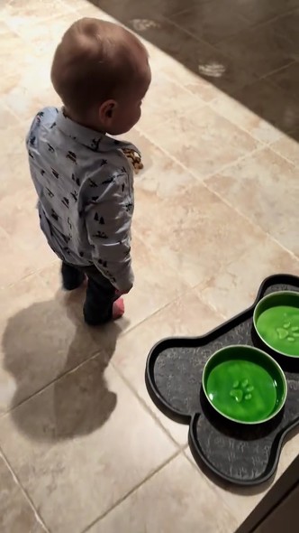 ごはんをフードボウルに入れようとする赤ちゃん